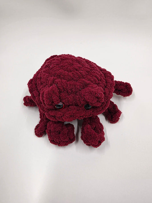 🦀 Cozy Crab Buddies