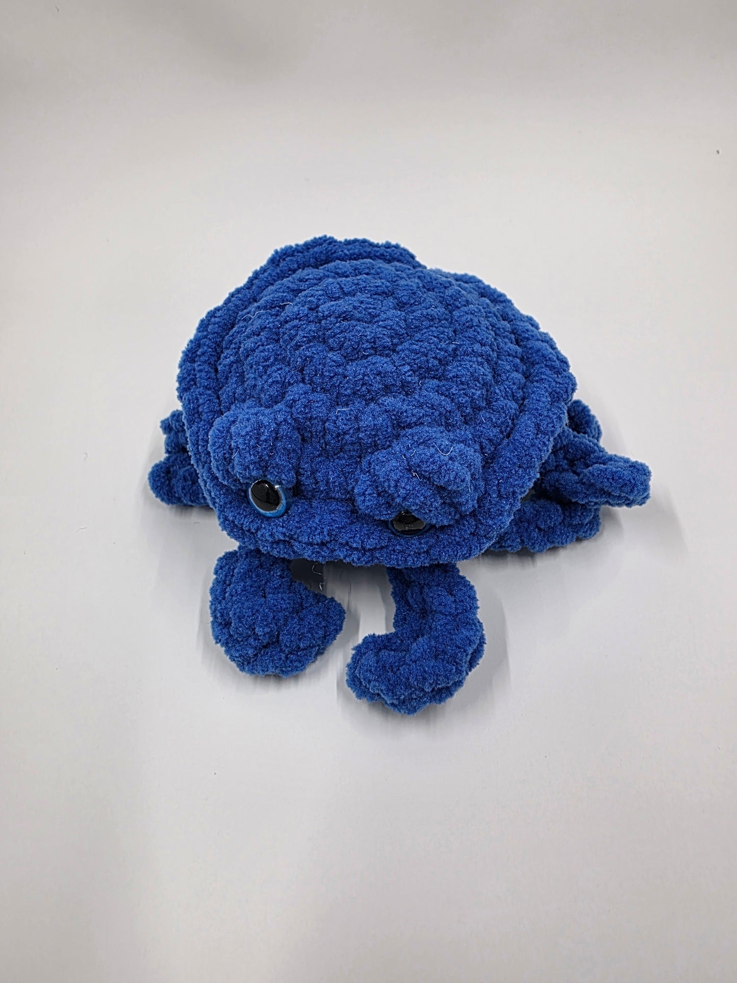 π¦ Cozy Crab Buddies