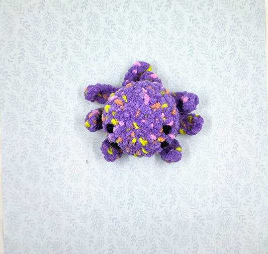 ๐ท๏ธ Spider Chubby Buddy