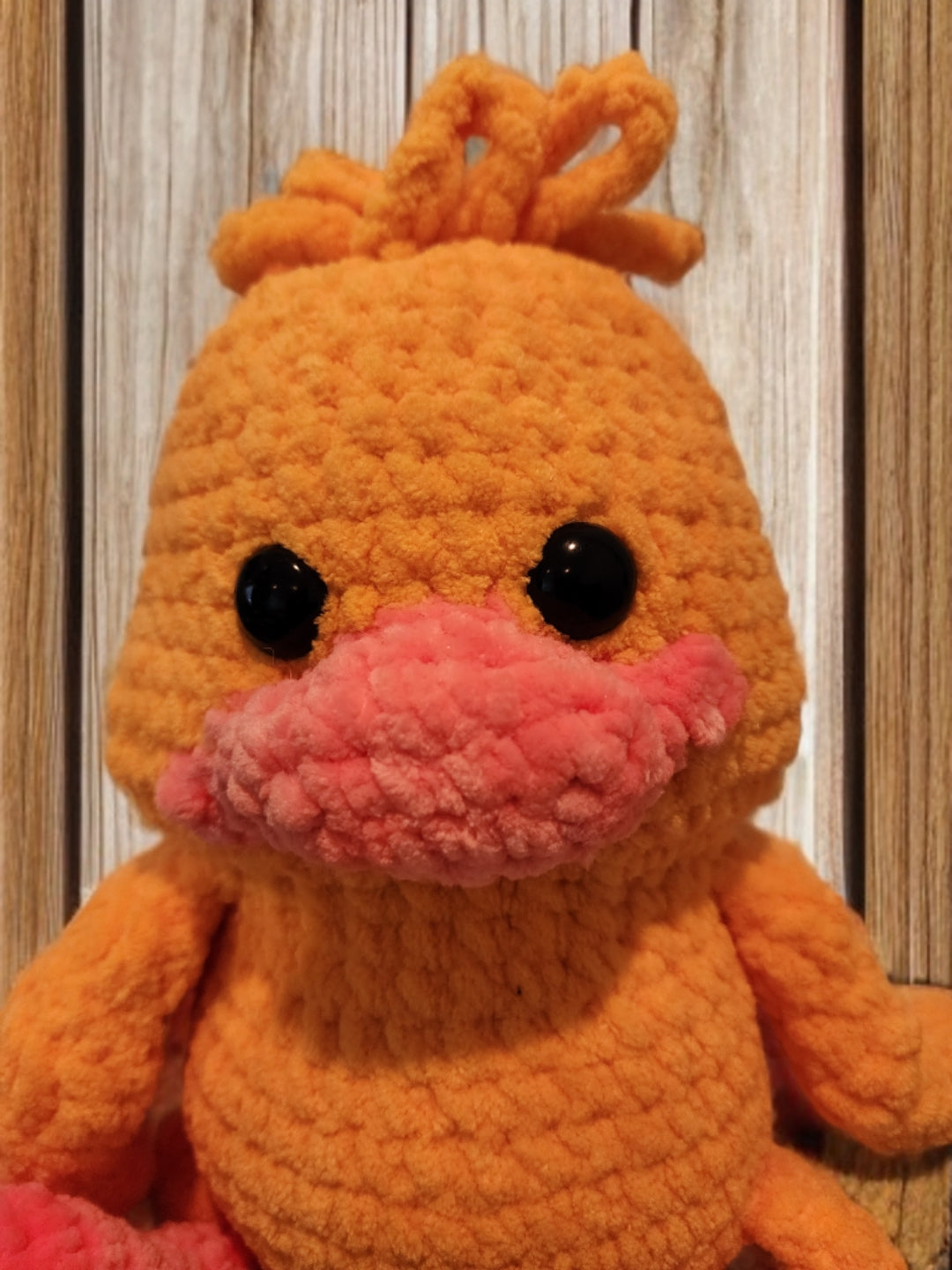 Plush Duck Buddy
