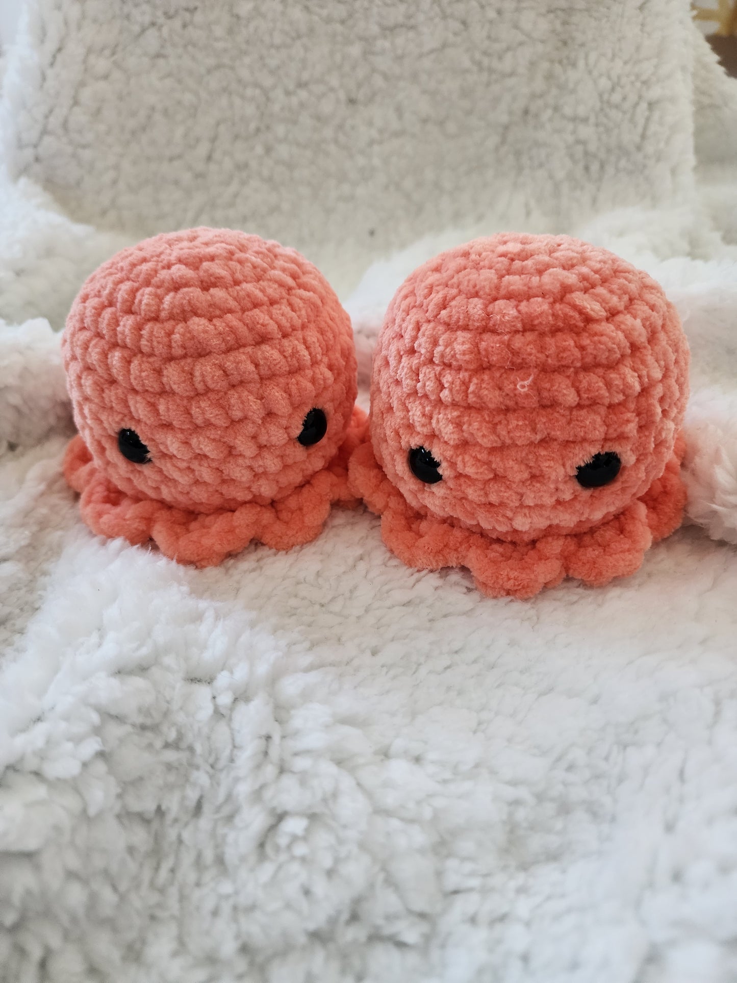 Octo Pals