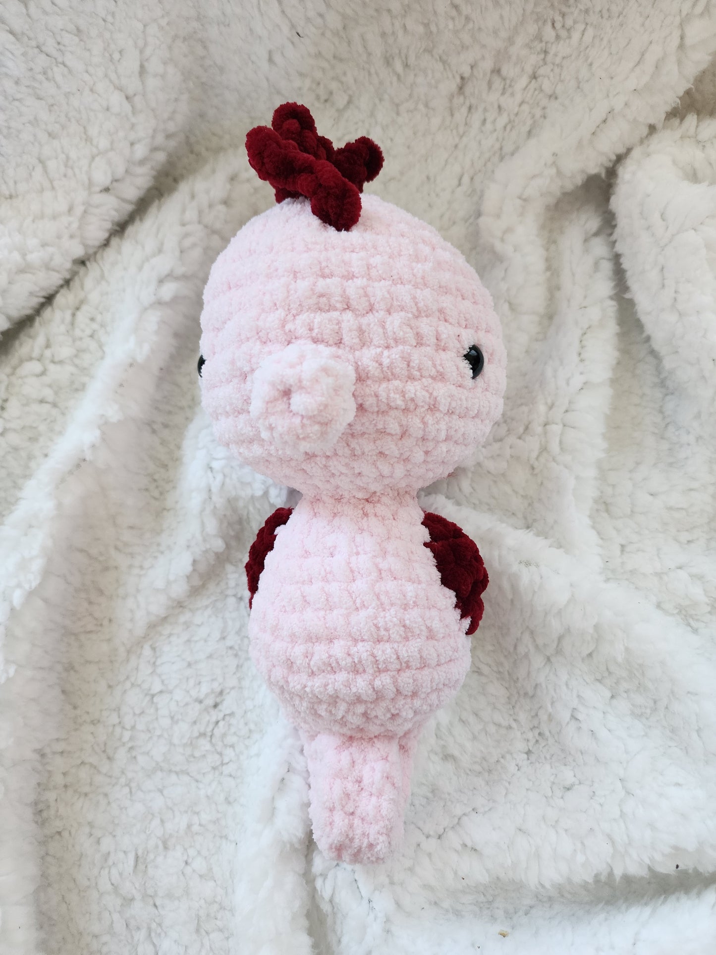 Sunny the Seahorse